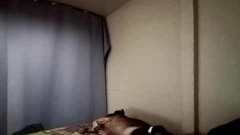 Juice cock online show from December 11, 4:18 am