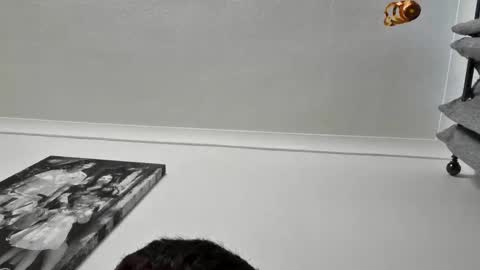 Cumslutt online show from November 12, 9:00 am