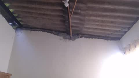 Dylon online show from October 25, 12:17 pm