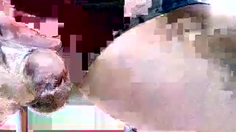 Dive Deep online show from December 2, 3:49 am