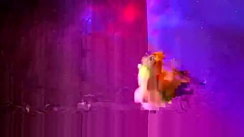 den2807 online show from March 24, 12:16 am