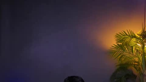 dennis_cox_ online show from November 21, 12:03 pm