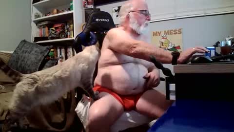 D K online show from January 15, 3:04 am