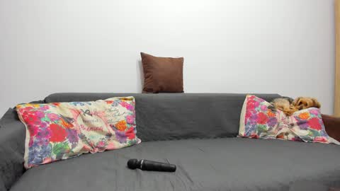 Misha online show from February 7, 7:18 am