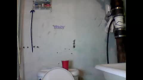 Snapshot of dhbbc454336 chatting on October 11, 9:18 pm Marcus D-von Steel as the raunchy ass sniffer thrill me with your online show from October 11, 9:18 pm