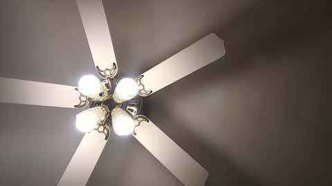 diamonde_steele online show from December 12, 1:53 am