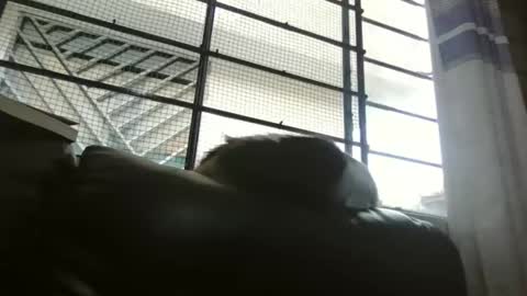 dickeduardo online show from March 29, 10:33 pm