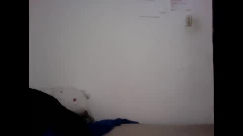 dino_versh online show from November 10, 12:13 am