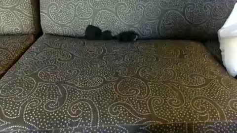 DirtyDanny online show from June 16, 1:31 am