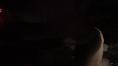 Boooo-beeee online show from December 17, 1:29 pm