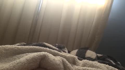 Di king22 online show from November 10, 8:11 pm