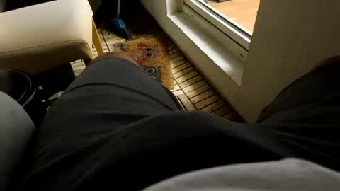 FuckmanR online show from July 16, 10:11 pm