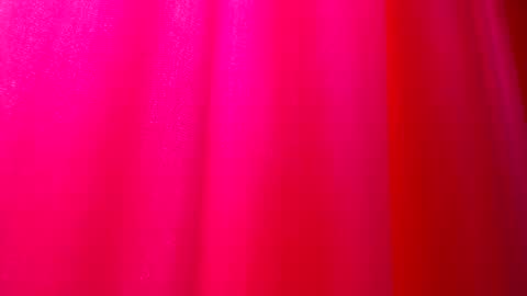 DommeTomorrow online show from February 25, 5:40 pm