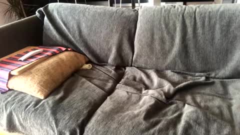 Alfredo online show from January 14, 11:10 am