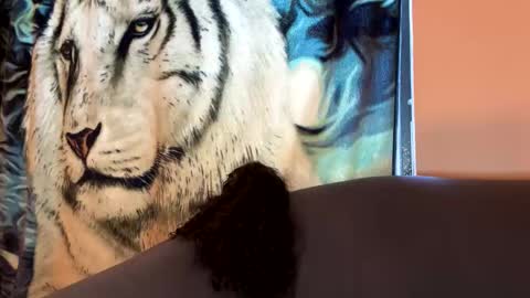 dove_love22 online show from October 17, 10:03 pm