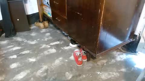 dreamreal online show from February 28, 11:58 am