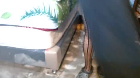 dreamreal online show from February 24, 11:46 am