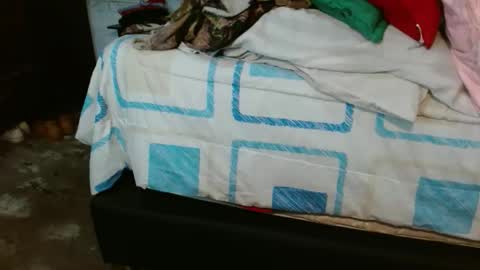 dreamreal online show from November 1, 11:53 am