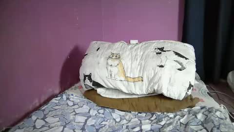 drip_swt online show from November 9, 11:40 pm