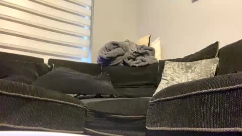 drippinggenie online show from December 26, 2:05 pm