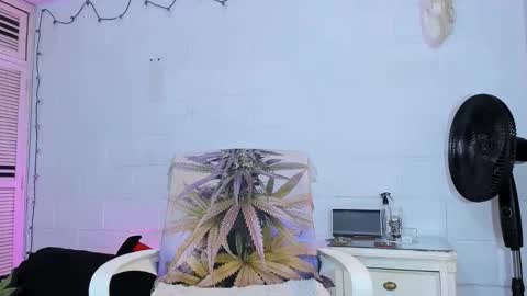 drippyorlove online show from April 14, 6:11 pm