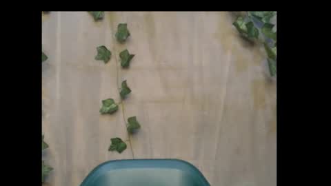 linda online show from November 1, 9:58 pm