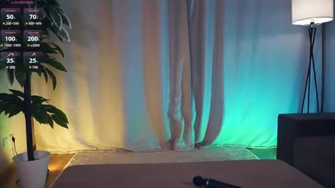 Polly day and Amelia night online show from February 14, 9:13 am