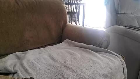 Allan online show from September 21, 8:02 pm