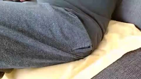 dunany101 online show from March 7, 5:02 pm