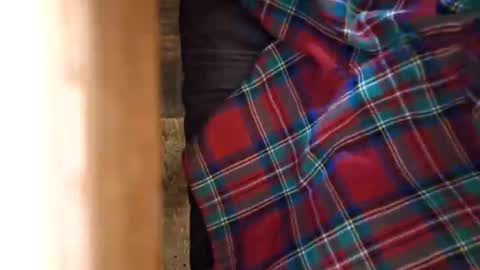 dVe1oPe online show from March 7, 10:04 am