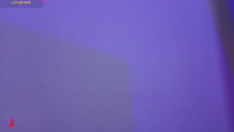 D Y L A N online show from January 10, 12:27 am