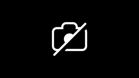 dylp400 online show from October 15, 12:50 pm