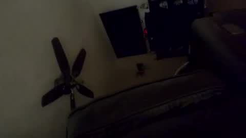 dzznutzzz online show from November 10, 8:28 am