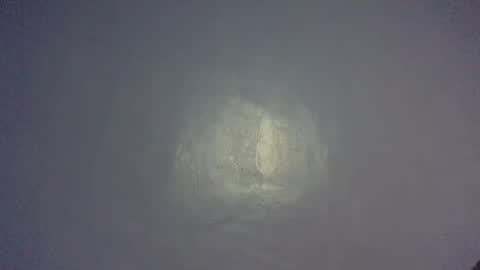 Noel online show from February 1, 5:47 pm