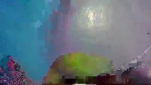 Noel online show from January 10, 6:06 pm