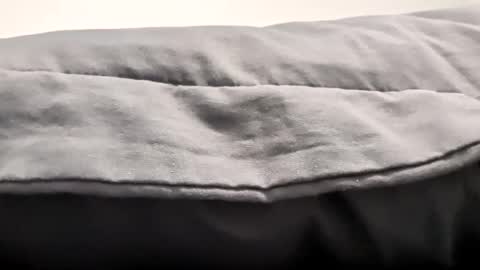 edibleking420 online show from November 7, 1:24 pm