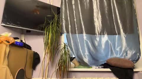 Eitan online show from October 15, 3:43 am