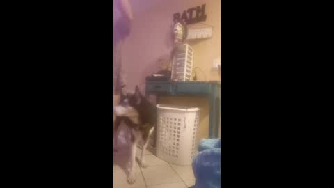 ThongLover6869 online show from March 23, 10:04 pm