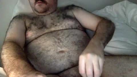 elabear online show from July 27, 6:22 am