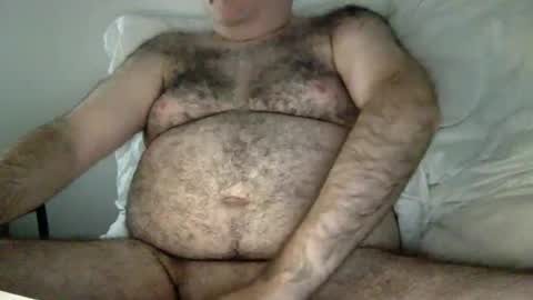 elabear online show from June 29, 2:30 am