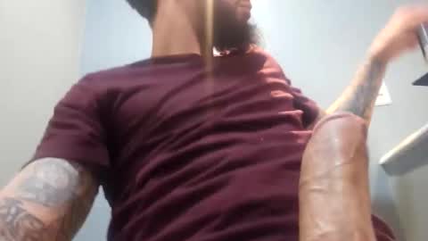 elephant_titus online show from April 20, 3:53 am