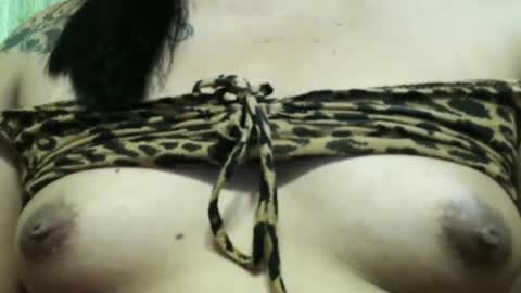 Ellah online show from March 1, 6:35 am