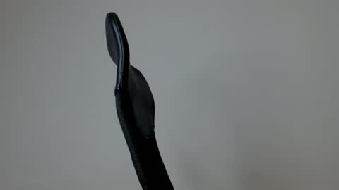 elosocazador online show from March 5, 1:53 pm