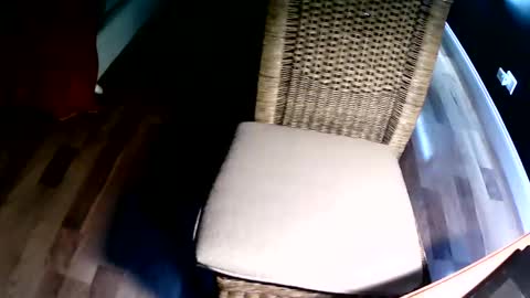 emi4850 online show from December 8, 8:15 pm