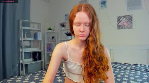 Sofia online show from November 25, 8:24 am