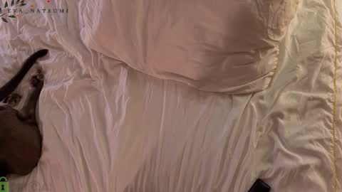 Eva online show from February 22, 8:00 pm