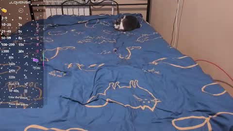 Eva online show from January 14, 3:09 pm