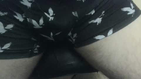 evolite_ online show from December 27, 6:42 pm