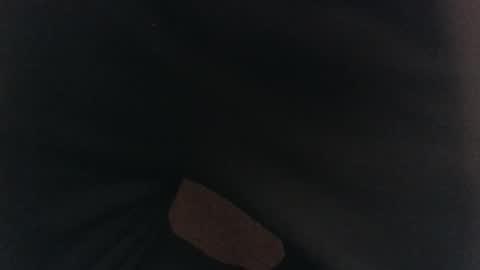 evolite_ online show from February 17, 5:36 am