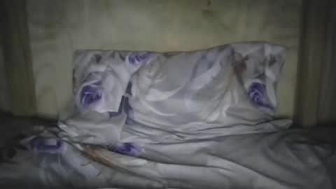 exhiba40 online show from April 19, 7:42 am